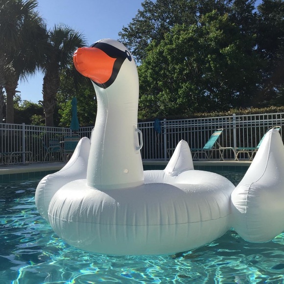 NEW LIVE SHOW NOTIFICATION! - Picture 13 of 16